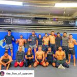 Alexander Gustafsson