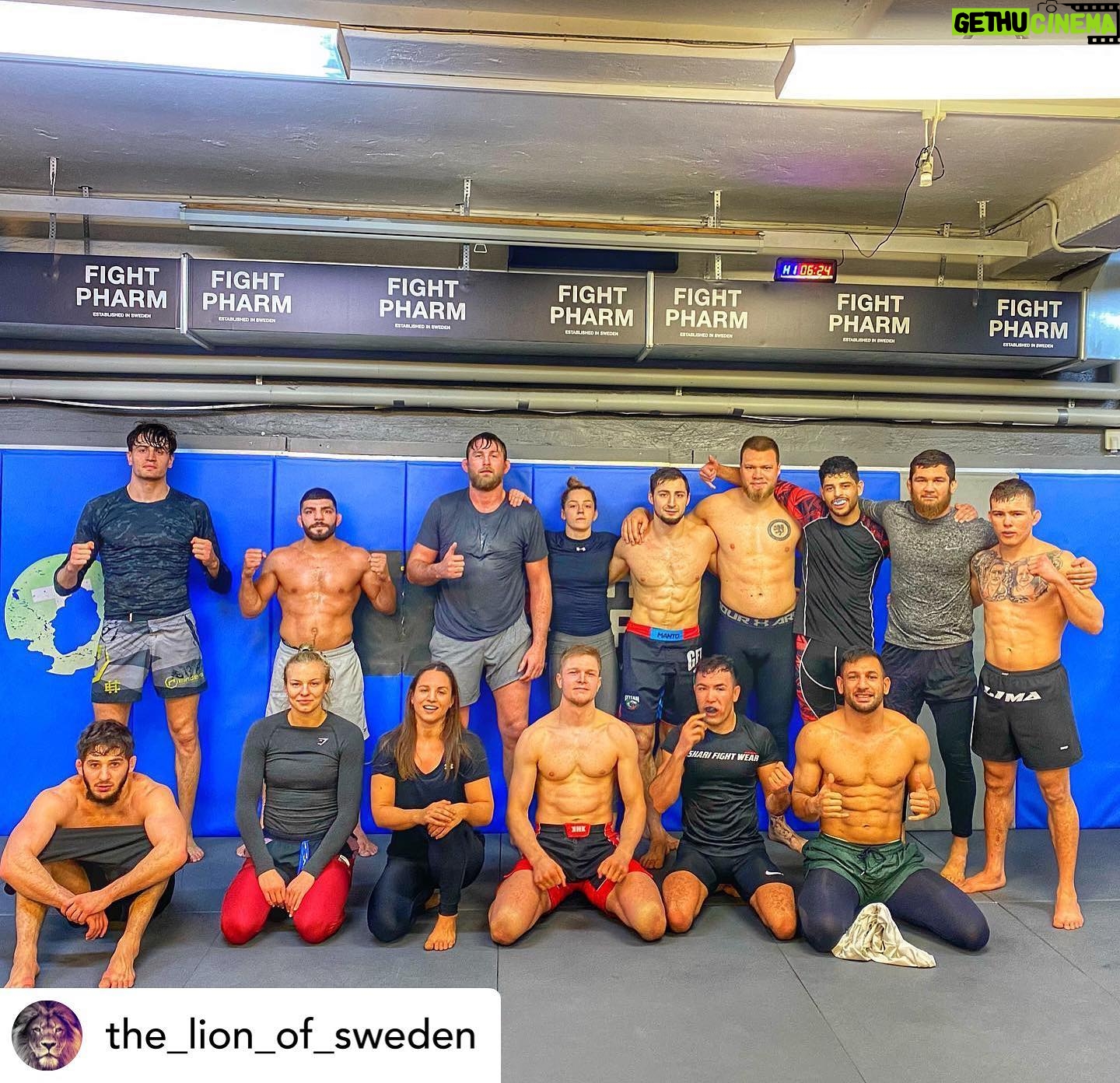 Alexander Gustafsson - 2.7K Likes - Team Allstars!