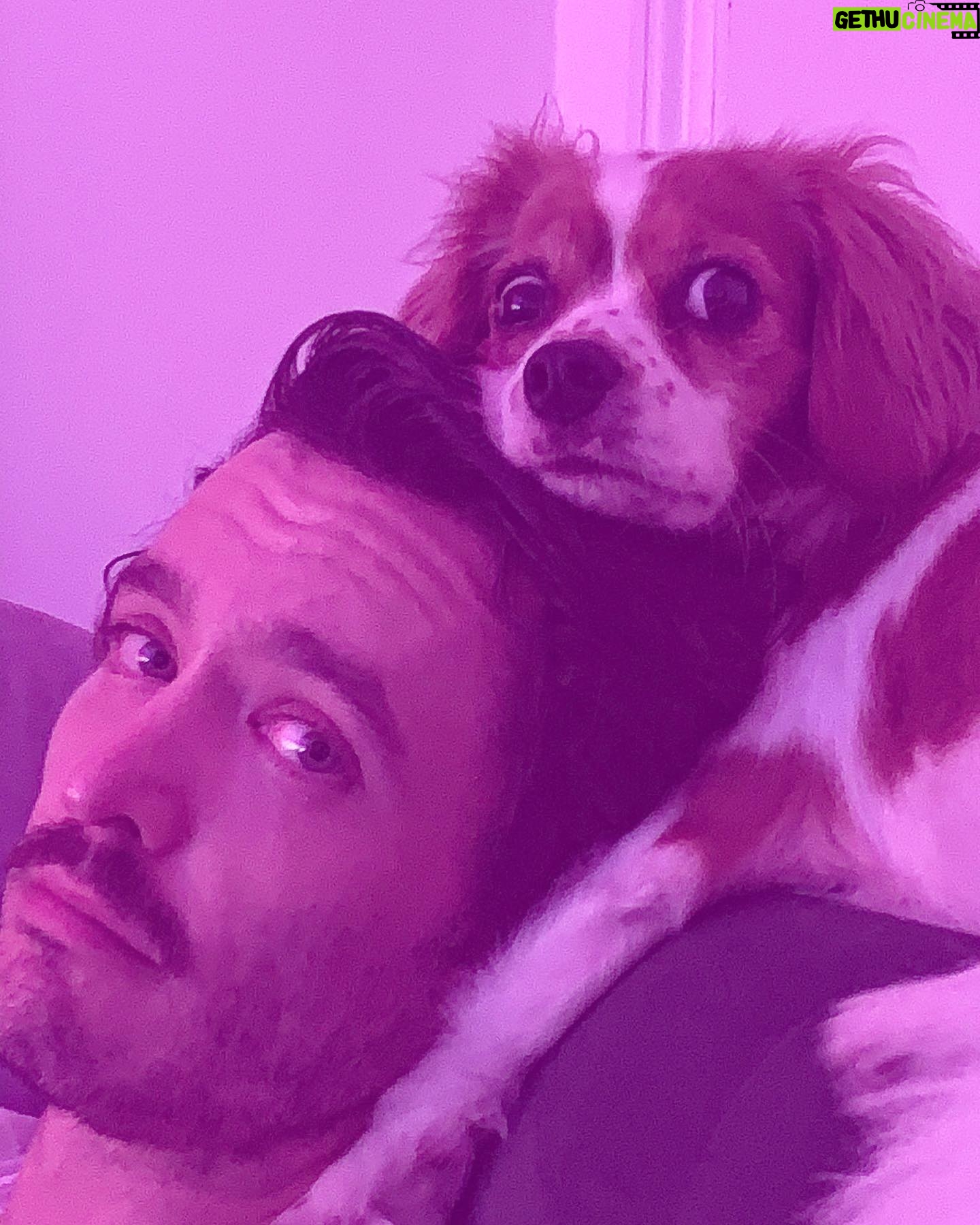 Alexander Vlahos - 7.6K Likes - Double. Trouble.