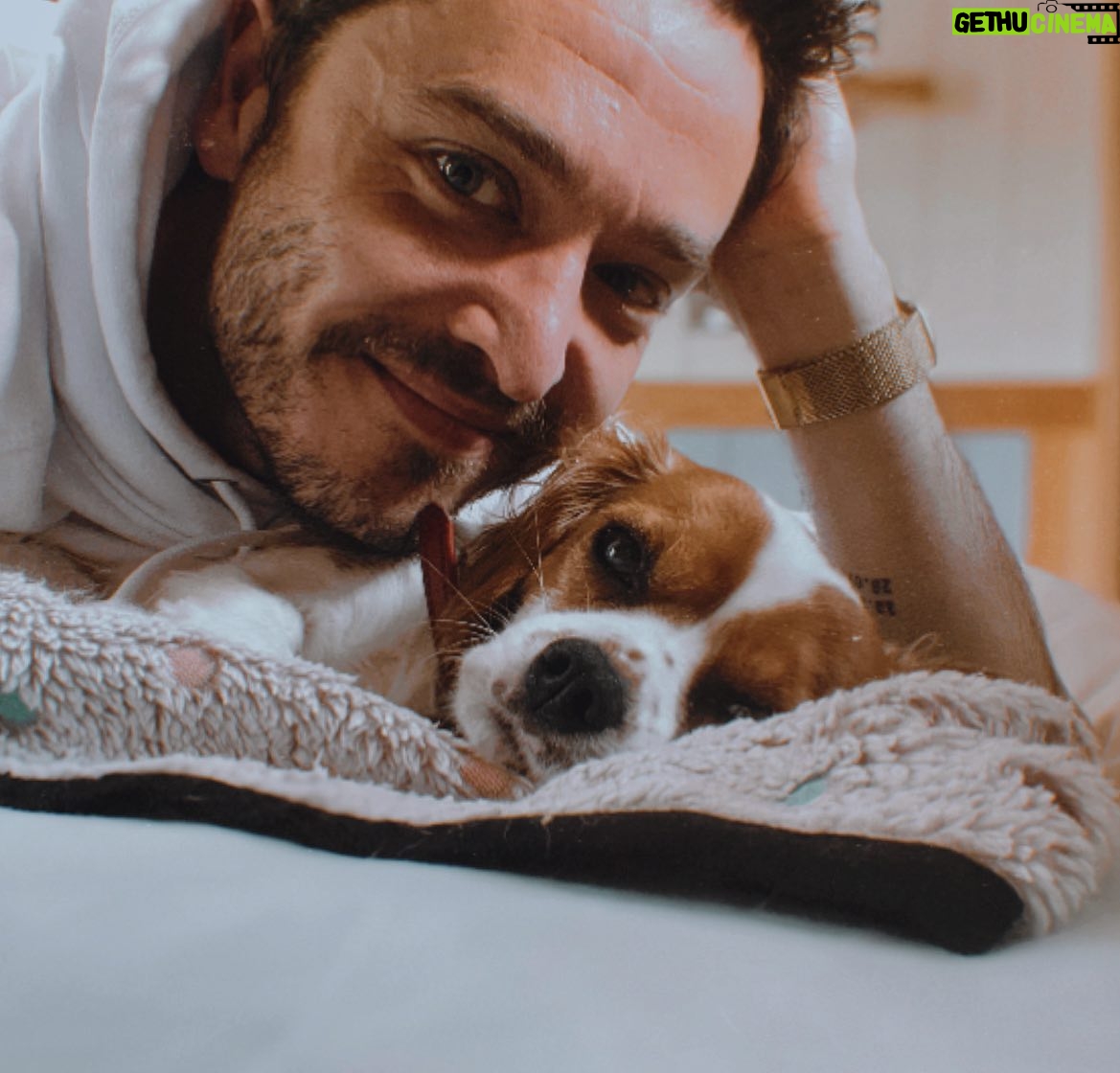 Alexander Vlahos - 4.3K Likes - Hello / Hi