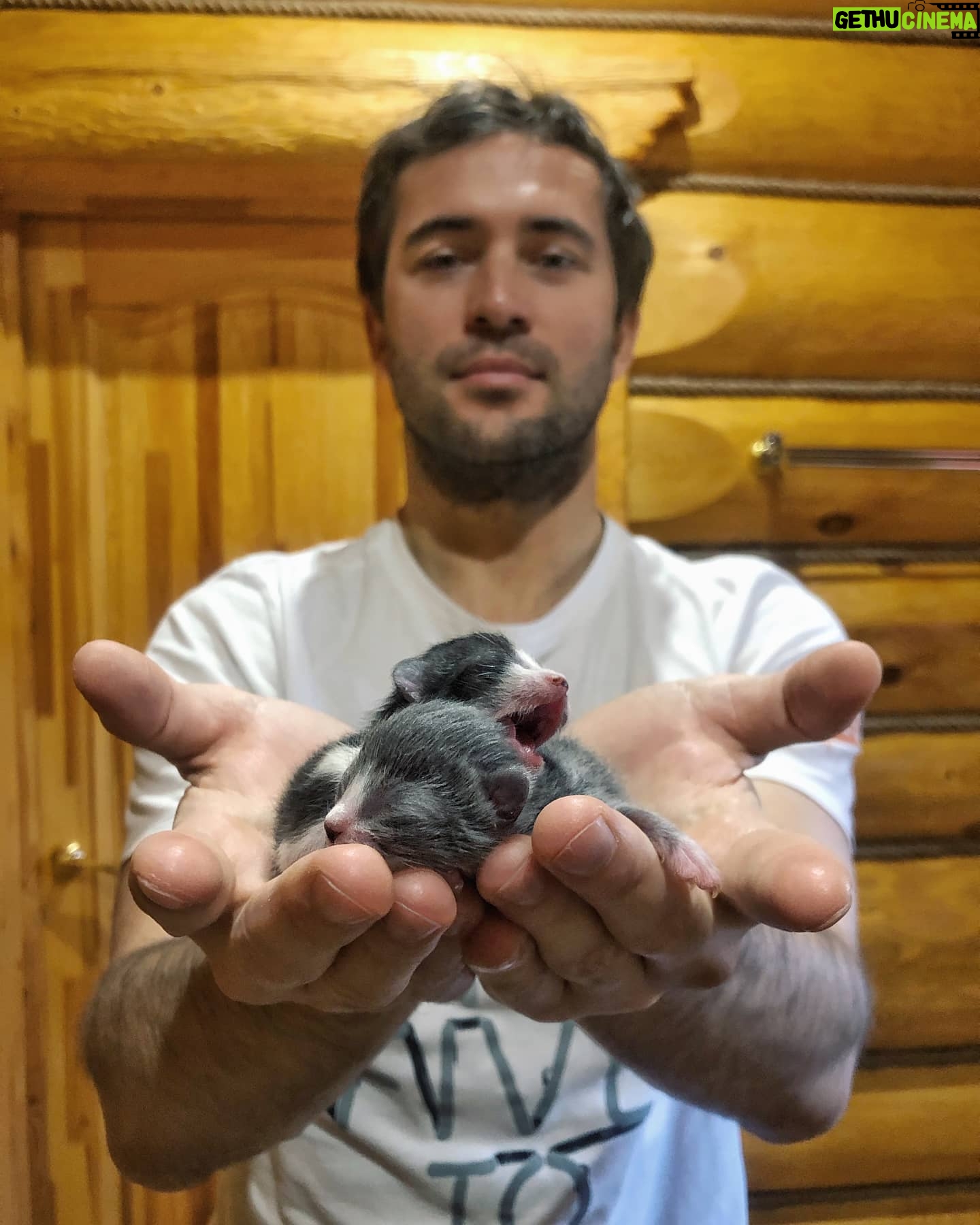 Alexandr Kerzhakov - 11.2K Likes - 🐈🐈😍
#catsofinstagram