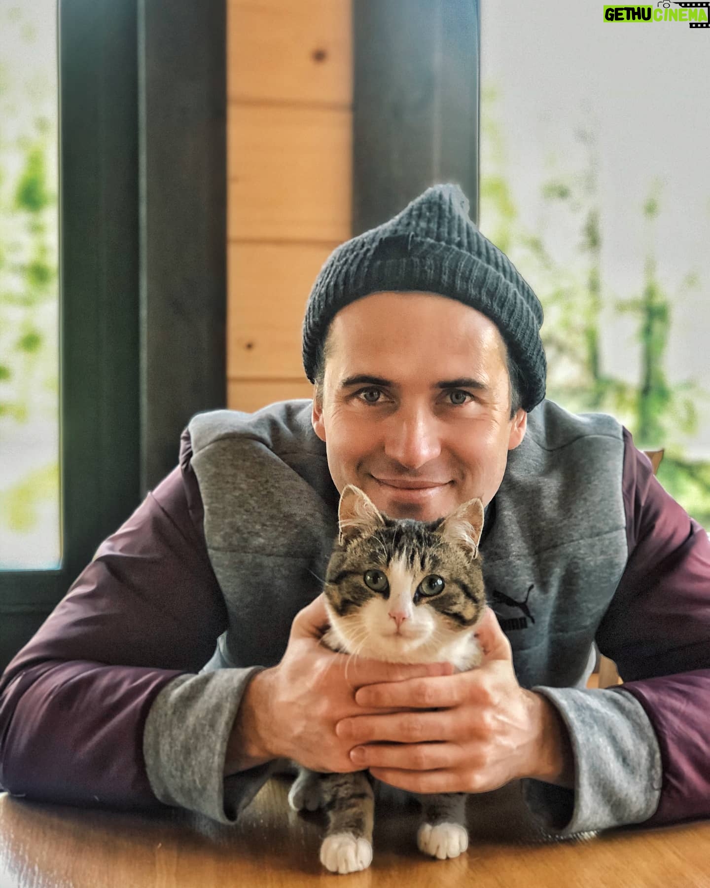 Alexandr Kerzhakov - 12.3K Likes - Бантик🐱🥰
#cats #catsofinstagram #stayhome