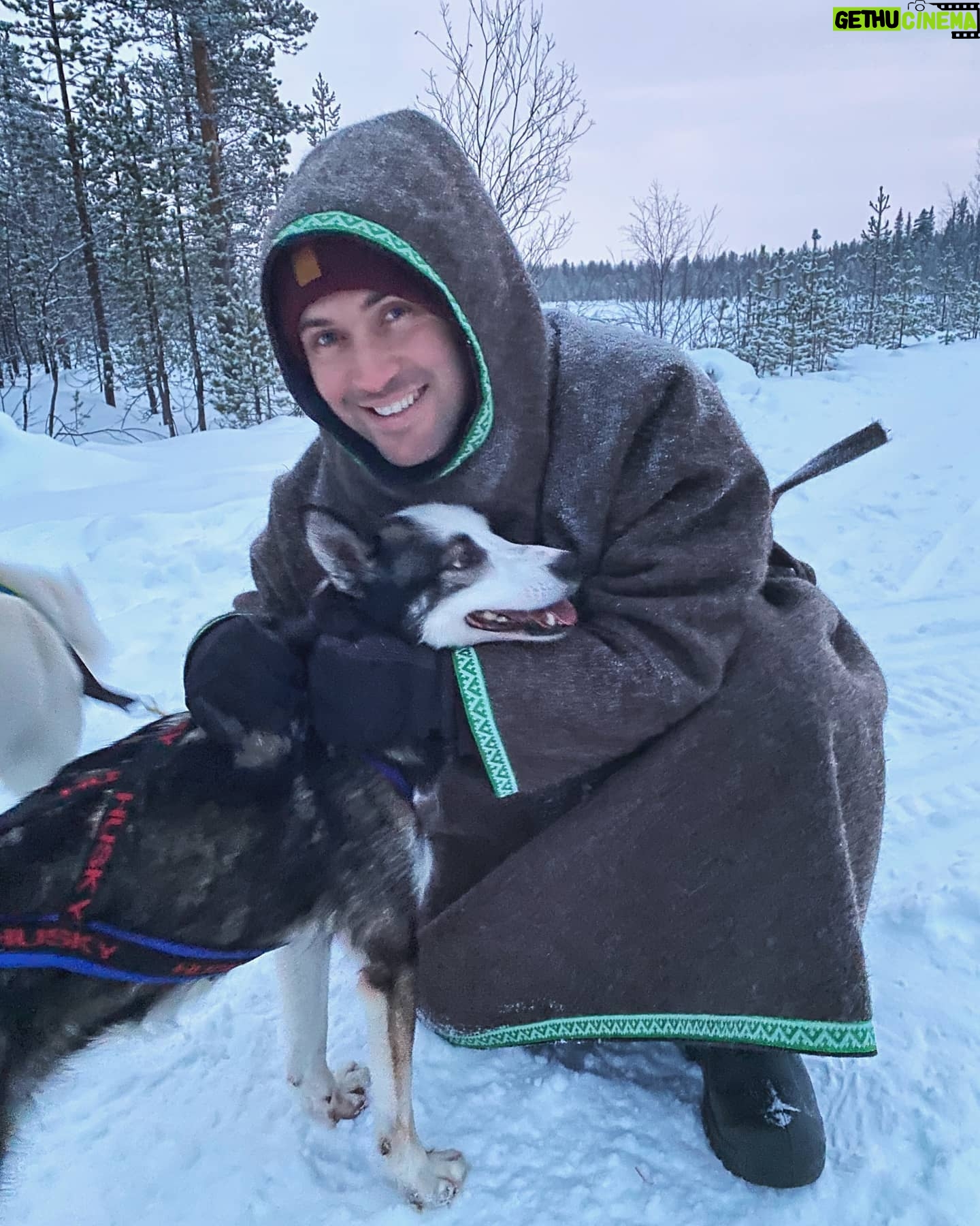 Alexandr Kerzhakov - 9.7K Likes - Сибирские хаски прекрасны🐺😍💞
#dog #holidays #alaska #SiberianHusky