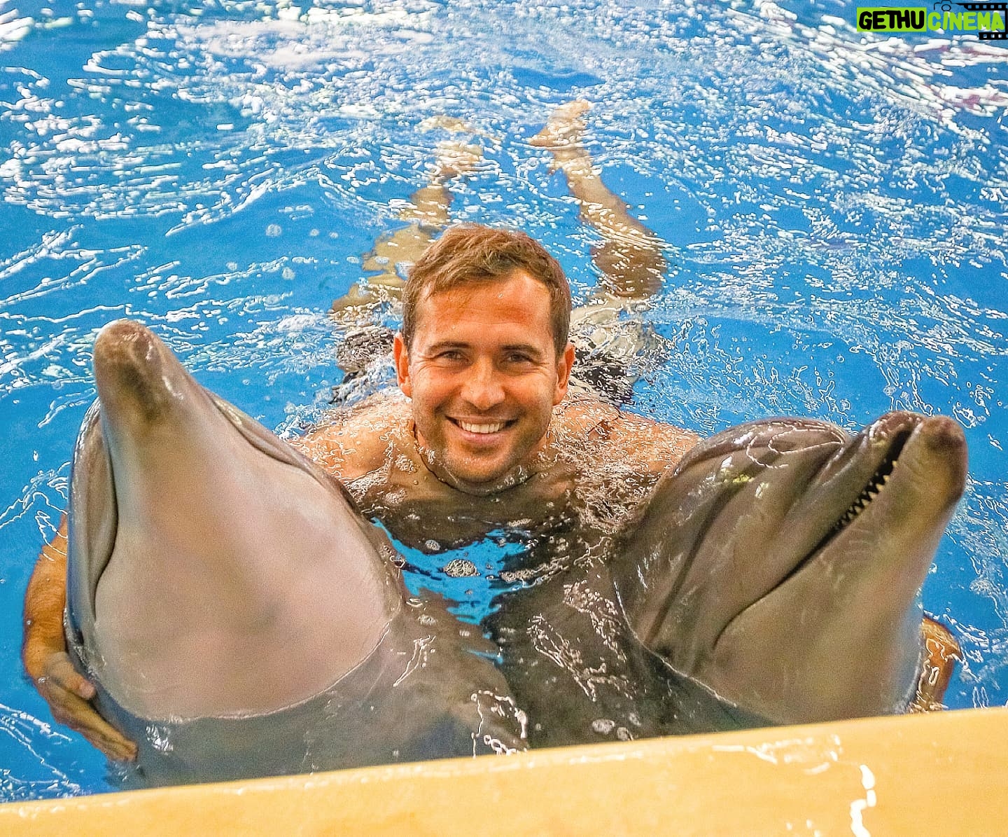 Alexandr Kerzhakov - 11.8K Likes - 🐬💕🐬