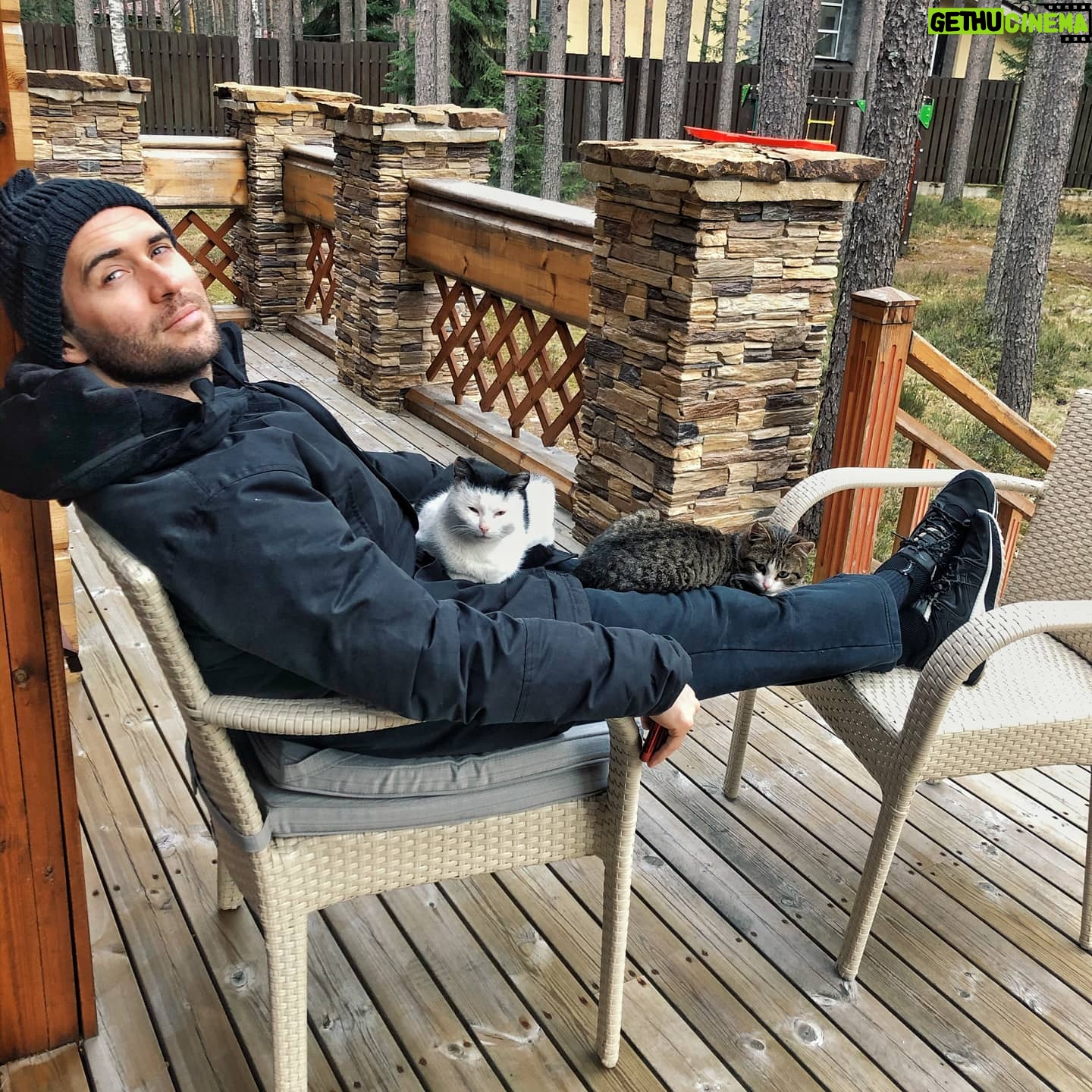 Alexandr Kerzhakov - 10.1K Likes - Вечерний чиллинг🥰🐱🐱
#stayhome #catsofinstagram #musya #bantik #cats
