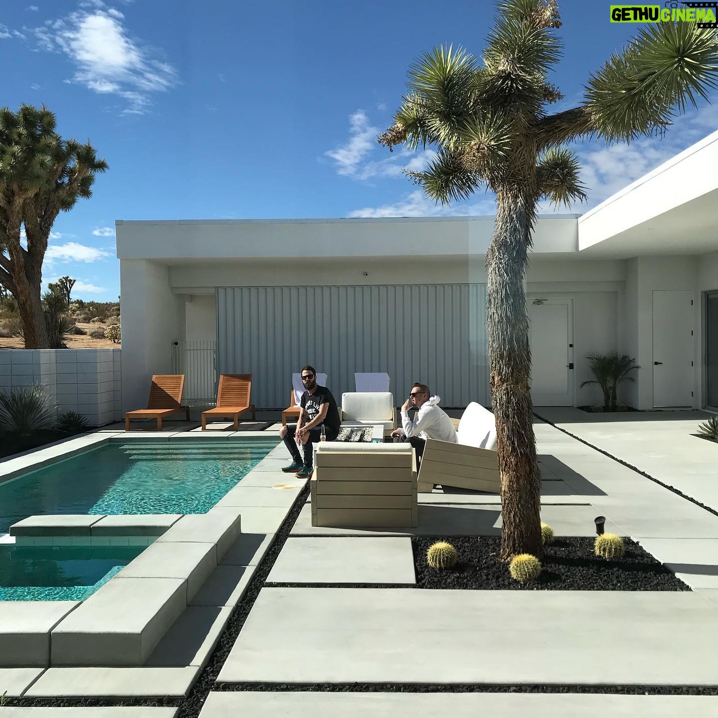 Alexandra Holden - 470 Likes - Joshua Tree is full of hidden gems! I just didn’t know two of them would be living at our Airbnb...