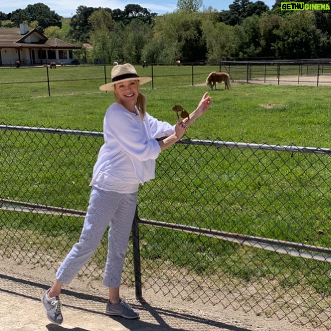 Alexandra Holden - 493 Likes - When I told my dear friend I was going to Los Olivos for the weekend she implored me to visit Quicksilver Ranch and check out the mini horses. Request granted - it did not disappoint 🐴 #quicksilverranch #minihorse #santaynez #winecountry