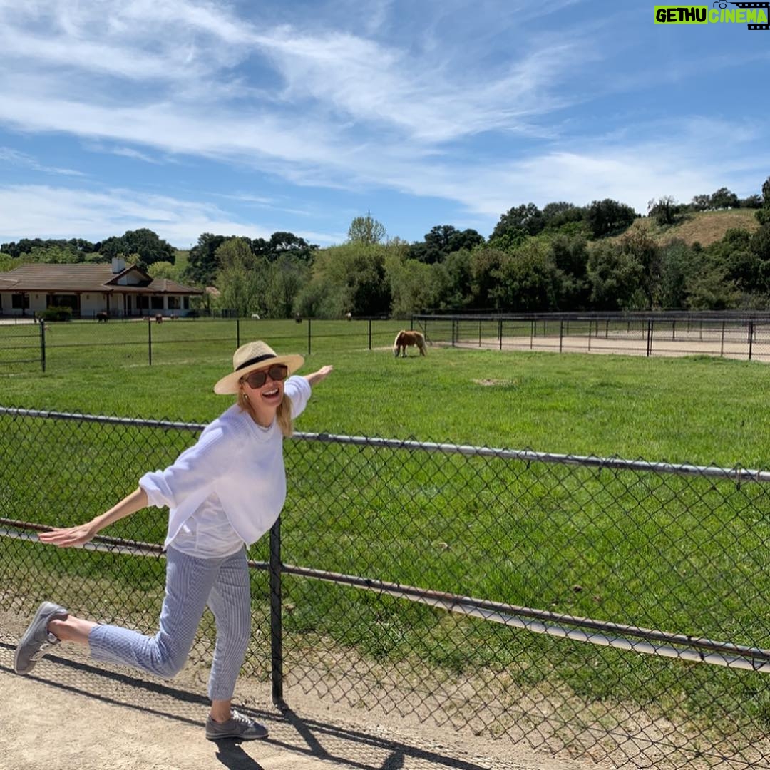 Alexandra Holden - 493 Likes - When I told my dear friend I was going to Los Olivos for the weekend she implored me to visit Quicksilver Ranch and check out the mini horses. Request granted - it did not disappoint 🐴 #quicksilverranch #minihorse #santaynez #winecountry