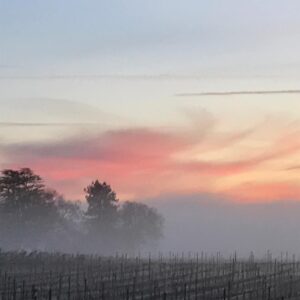 Alexandra Holden Instagram - Sunrise in Healdsburg #winecountry #sonoma #sonomastrong #healdsburg #vineyard @thomasgeorgeestates