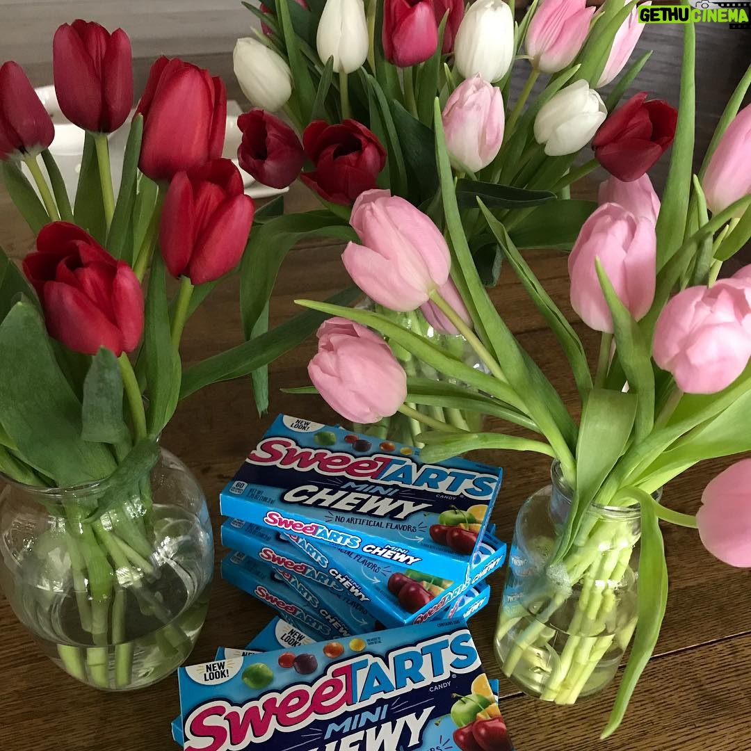 Alexandra Holden - 269 Likes - Tulips and Sweet Tarts... the way to my heart! 🌷🍭
#valentine