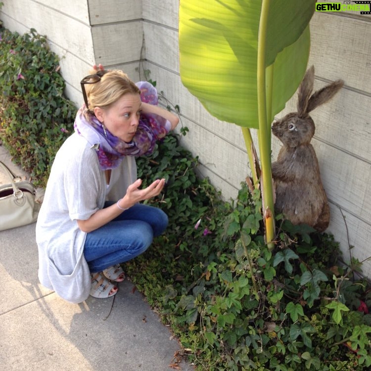 Alexandra Holden - 151 Likes - This bunny just won't listen! 🐰#downtherabbithole #earmuffs #bunnies #rabbit #bunny