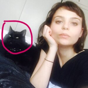 Alexandra Krosney Instagram - You were enigmatic, aggressively affectionate, elusive, beautiful, loving and surprisingly sweet. We were lucky to have 17 weird years with you, Lolita. If there’s a heaven for cats, I hope it has a big bed for you to hide under. You were by far the strangest woman I’ve ever been in a relationship with.