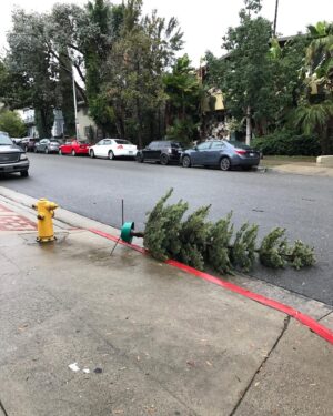 Alexandra Krosney Instagram - Christmas is over.