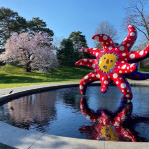 Alexandra Munroe Instagram - Congratulations to Yayoi Kusama on the fantastic installation across the gardens, conservatory and library of New York Botanical Garden. The show, curated by my friend and colleague Mika Yoshitake, makes the strongest case ever that Kusama’s infinity-inspired art has always been about COSMIC NATURE. My catalogue essay, Forget Yourself and become One with Nature, argues that Kusama is, after all, a panpsychist.  #mustsee

#yayoikusama #kusama #kusamanybg #cosmos #cosmicconsciousness #yayoikusamamuseum #nybg @mikayoshitake @davidzwirner @victoriamirogallery @otafinearts #panpsychism
