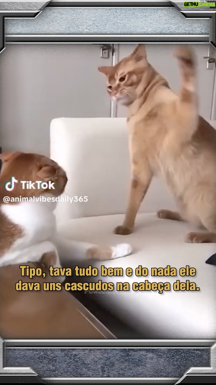 Alexandre Ottoni - 2K Likes - Para gamers e gateiros 😸