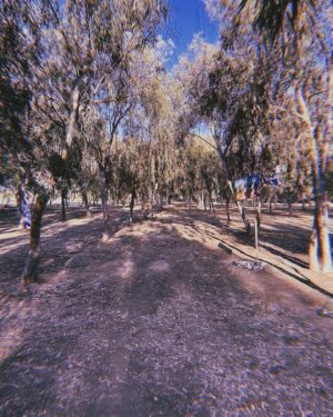 Alexei Brovarnik Instagram - Through darkness we always find the light. 🇮🇱 
📍: Nova Festival Site 
#israel #wewilldanceagain #nova #amisraelchai