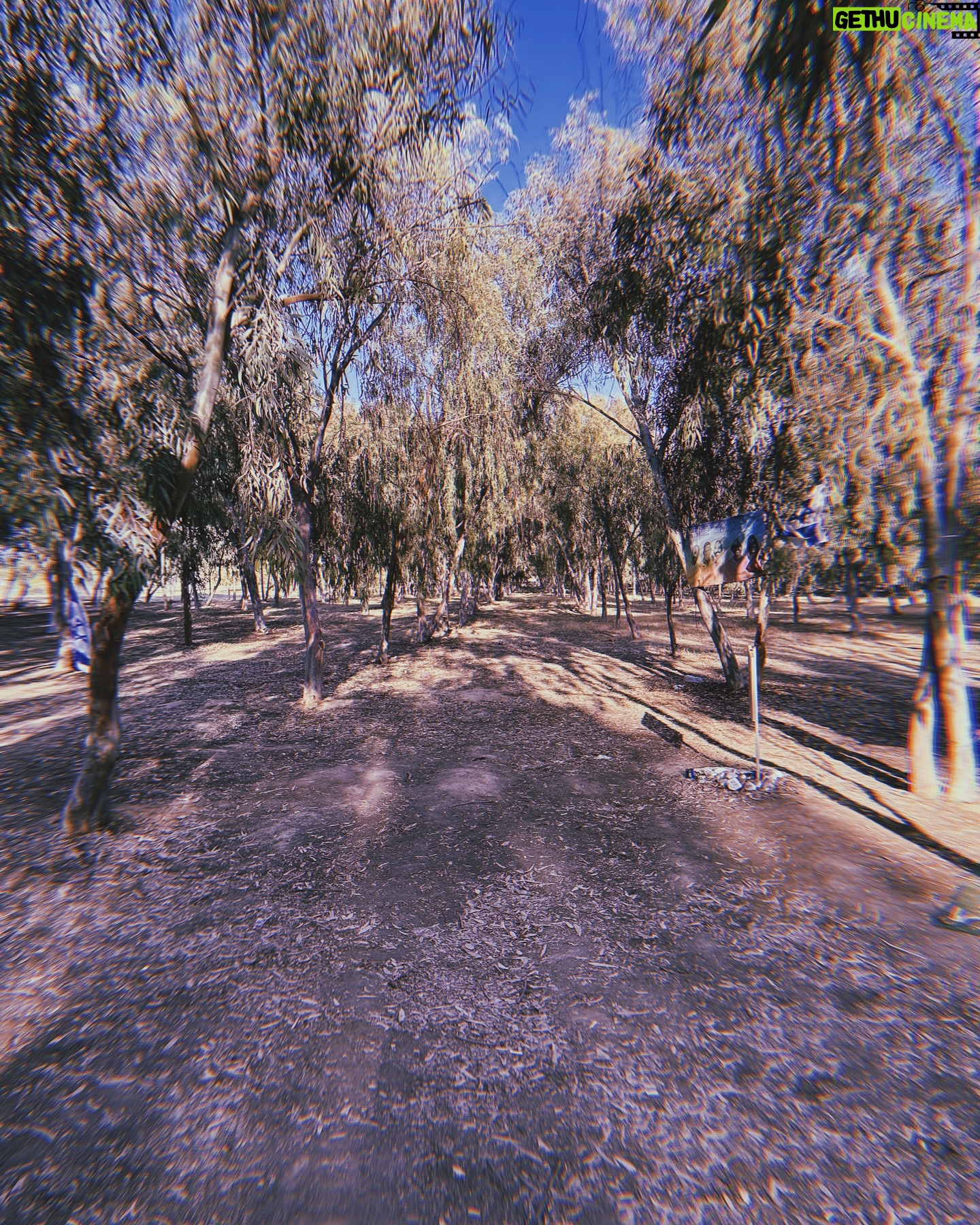 Alexei Brovarnik - 19.8K Likes - Through darkness we always find the light. 🇮🇱
📍: Nova Festival Site
#israel #wewilldanceagain #nova #amisraelchai