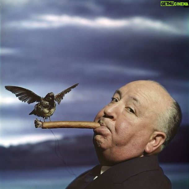 Alfred Hitchcock - 17.3K Likes - In January 1963, the American Humane Association gave their seal of approval to The Birds after watching a screening of the film.
.
.
.
#alfredhitchcock #alfredhitchcockpresents #hitchcock #hollywood #director #bestdirector #suspense #masterofsuspense #thriller #film #filmgeek #classicfilm #movies #moviebuff #classicmovies #bestmovies #alfredhitchcockmovies