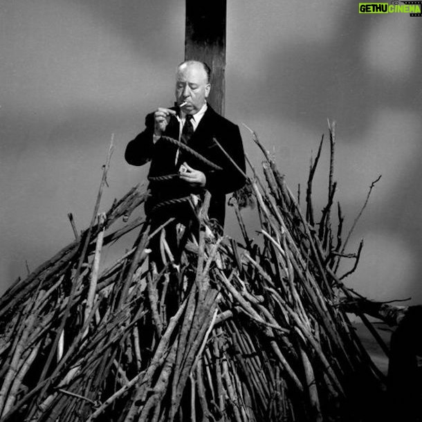 Alfred Hitchcock - 12.6K Likes - “I’m full of fears and I do my best to avoid difficulties and any kind of complications. I like everything around me to be clear as crystal and completely calm.” -Alfred Hitchcock
.
.
.
#alfredhitchcock #alfredhitchcockpresents #hitchcock #director #bestdirector #movies #moviebuff #bestmovies #classicmovies #suspense #masterofsuspense #hollywood #cinema #classiccinema #film #filmgeek #filmmaking #filmdirector #quote #quotes #alfredhitchcockmovies