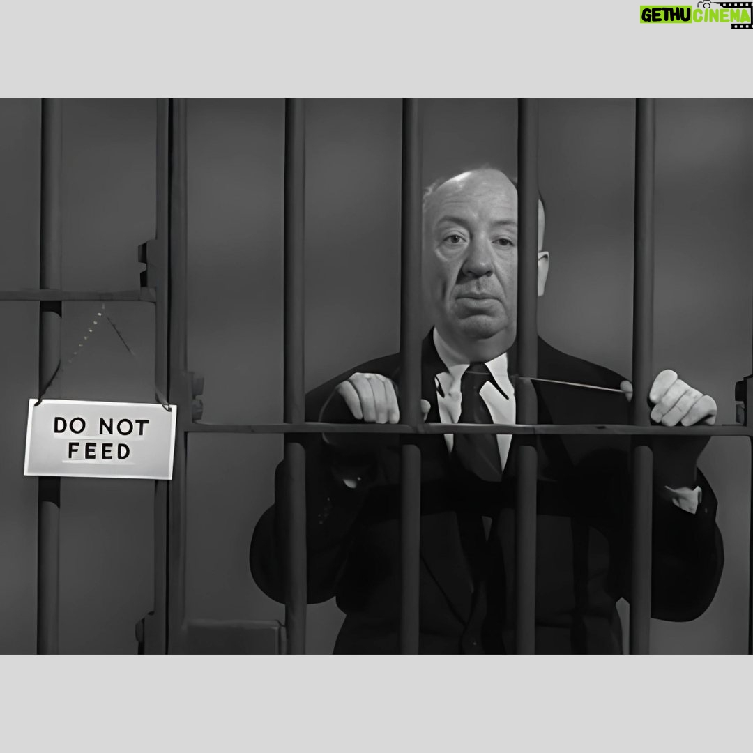 Alfred Hitchcock - 4.7K Likes - In May 1945, Alfred Hitchcock received a letter from the FBI. They warned him that if Notorious contained a depiction of an American intelligence officer, it would need to be vetted by the State Department.
In later years, Hitchcock joked about the FBI keeping him "under surveillance.”
.
.
.
#alfredhitchcock #alfredhitchcockpresents #hitchcock #director #bestdirector #suspense #masterofsuspense #film #filmgeek #filmdirector #filmmaking #cinema #classiccinema #instacinema #movies #classicmovies #bestmovies #alfredhitchcockmovies