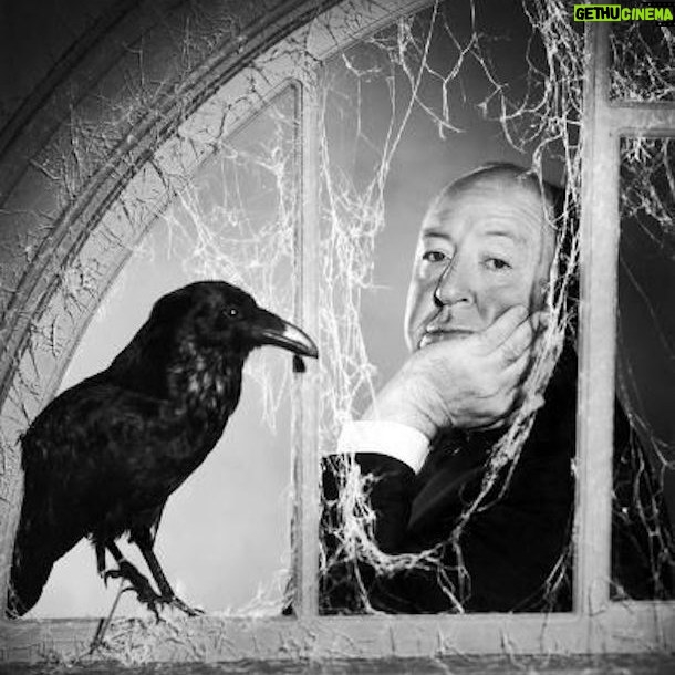 Alfred Hitchcock - 6.1K Likes - “The Birds could be the most terrifying motion picture I have ever made.” -Alfred Hitchcock
.
.
.
#alfredhitchcock #alfredhitchcockpresents #hitchcock #director #bestdirector #suspense #masterofsuspense #cinema #classiccinema #film #filmgeek #filmdirector #filmmaking #movies #moviebuff #classicmovies #bestmovies #quote #quotes #alfredhitchcockmovies