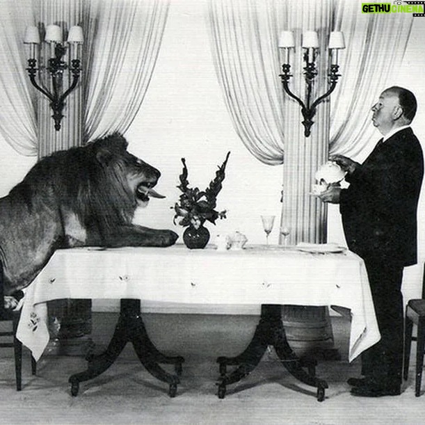 Alfred Hitchcock - 12.8K Likes - Alfred Hitchcock serves tea to his good friend Leo the Lion, the MGM Studios mascot.
.
.
.
#alfredhitchcock #alfredhitchcockpresents #hitchcock #hollywood #director #bestdirector #film #filmgeek #classicfilm #filmdirector #filmmaking #suspense #masterofsuspense #cinema #classiccinema #instacinema #movies #bestmovies #classicmovies #alfredhitchcockmovies