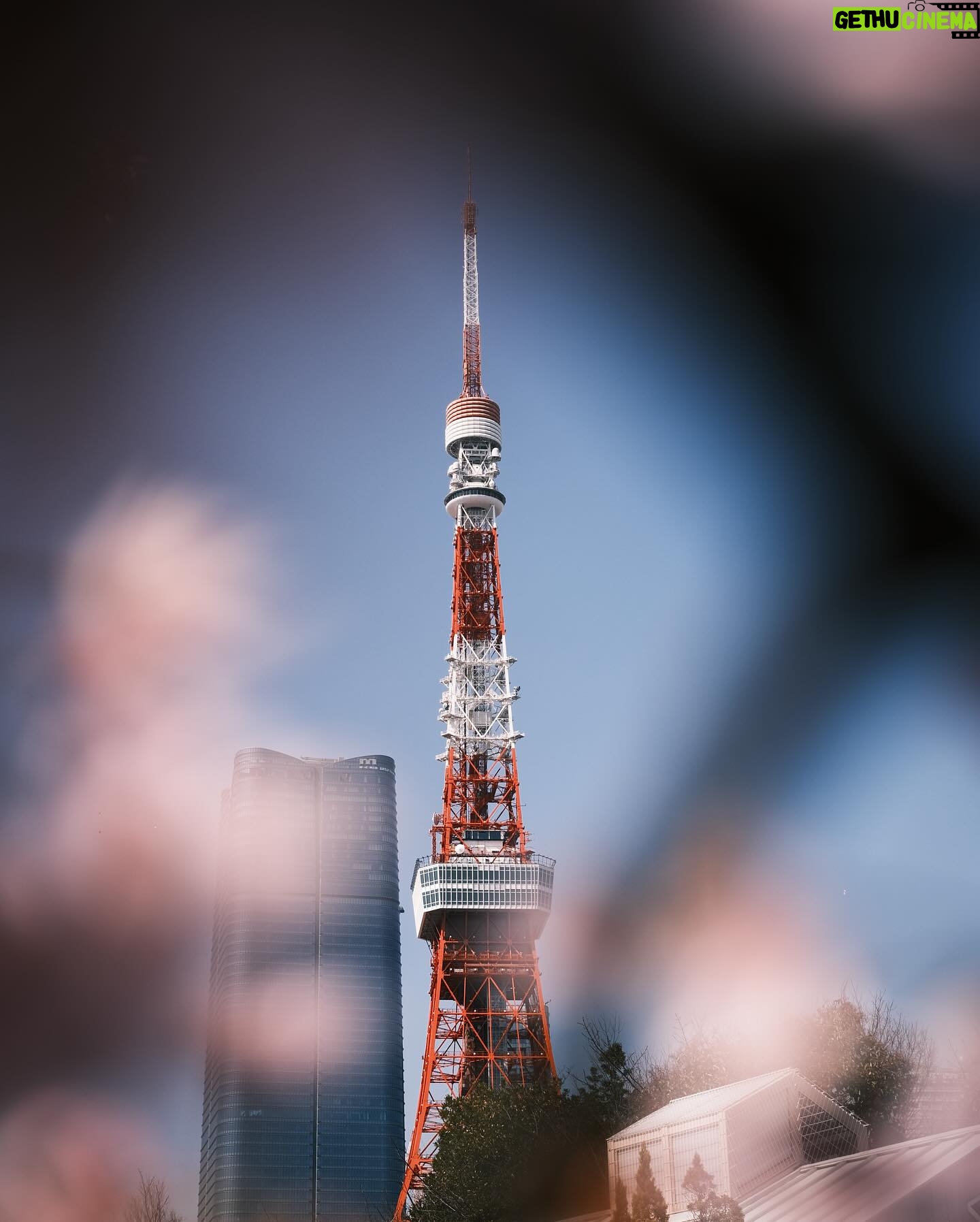 Alfred Hui - 3.7K Likes - 【 🗼Day 12 】
/
旅程尾聲 Tokyo Flash
遇上睇到櫻花嘅緣分🌸
/
#自許紀錄 於 日本東京
@alf_records
/
#唔好unfollow我住啦
#仲有幾日就post曬喇