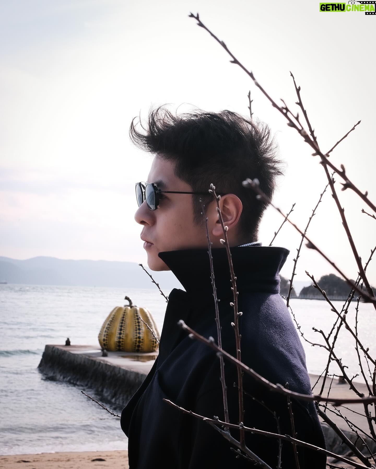 Alfred Hui - 3.5K Likes - 【 🎃 Day 10 】
/
明明南瓜應該係橙色㗎嘛…
/
#自許紀錄 於 日本直島
@alf_records