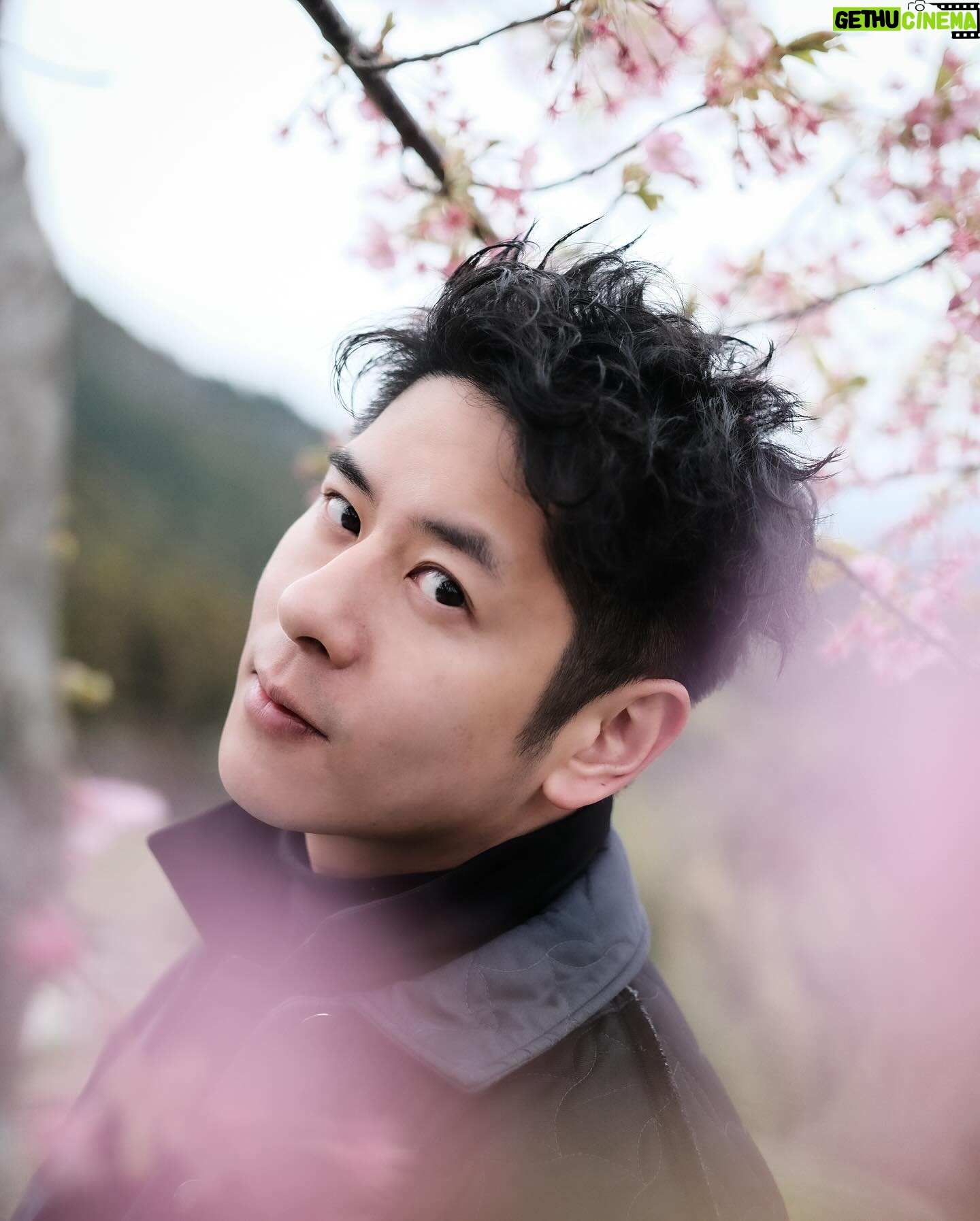 Alfred Hui - 4K Likes - 【 🇯🇵 Day 9 】
/
櫻圖🌸小丸子
/
其實有時唔需要
話開到滿佈櫻花
先可以扮大媽嘅
你識影一樖夠做
/
#樖音po1
#出處你懂的