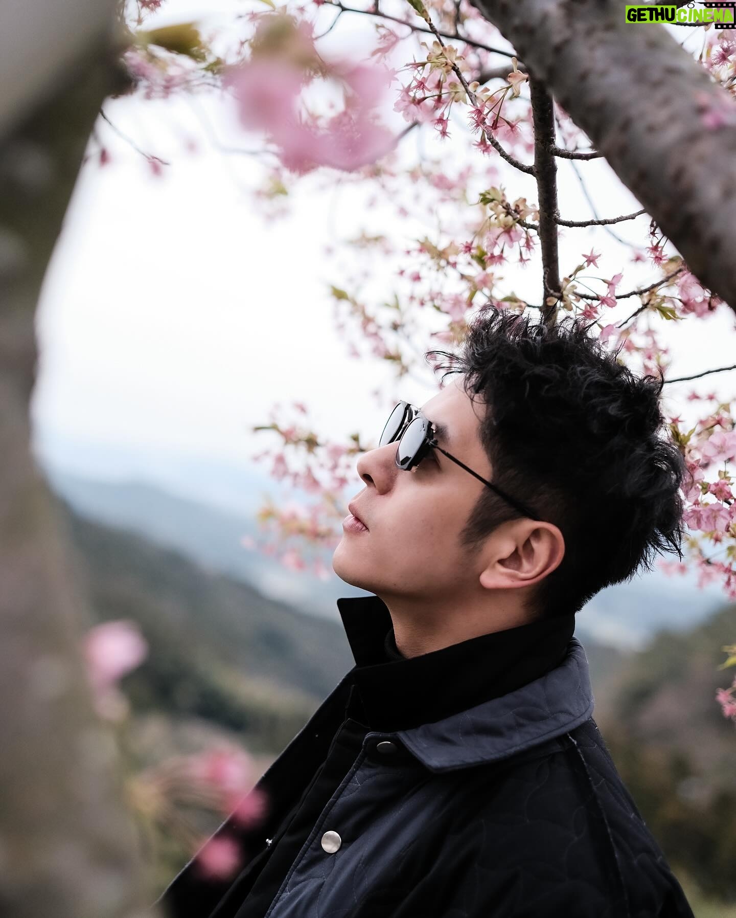 Alfred Hui - 4K Likes - 【 🇯🇵 Day 9 】
/
櫻圖🌸小丸子
/
其實有時唔需要
話開到滿佈櫻花
先可以扮大媽嘅
你識影一樖夠做
/
#樖音po1
#出處你懂的