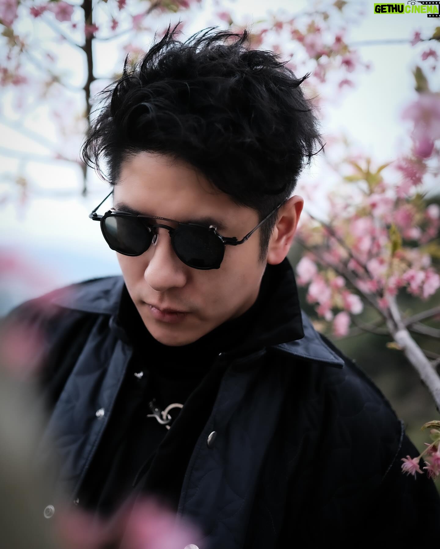 Alfred Hui - 4K Likes - 【 🇯🇵 Day 9 】
/
櫻圖🌸小丸子
/
其實有時唔需要
話開到滿佈櫻花
先可以扮大媽嘅
你識影一樖夠做
/
#樖音po1
#出處你懂的