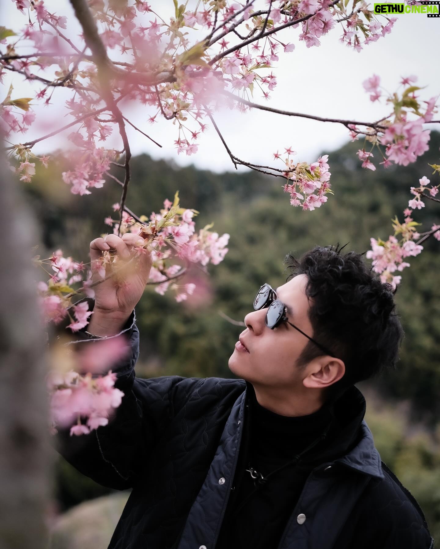 Alfred Hui - 4K Likes - 【 🇯🇵 Day 9 】
/
櫻圖🌸小丸子
/
其實有時唔需要
話開到滿佈櫻花
先可以扮大媽嘅
你識影一樖夠做
/
#樖音po1
#出處你懂的