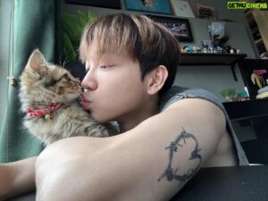 Alfred Sng Instagram - Im officially a cat dad!! Found Rocket 3 weeks ago, alone, hiding in the drain along a quiet street (meowing at me for food). 

After a few hours of observing, I decided to adopt this little baby and give him a new home. Last image was taken when I first saw him 🥺

Say Hi to Rocket! 🚀😍