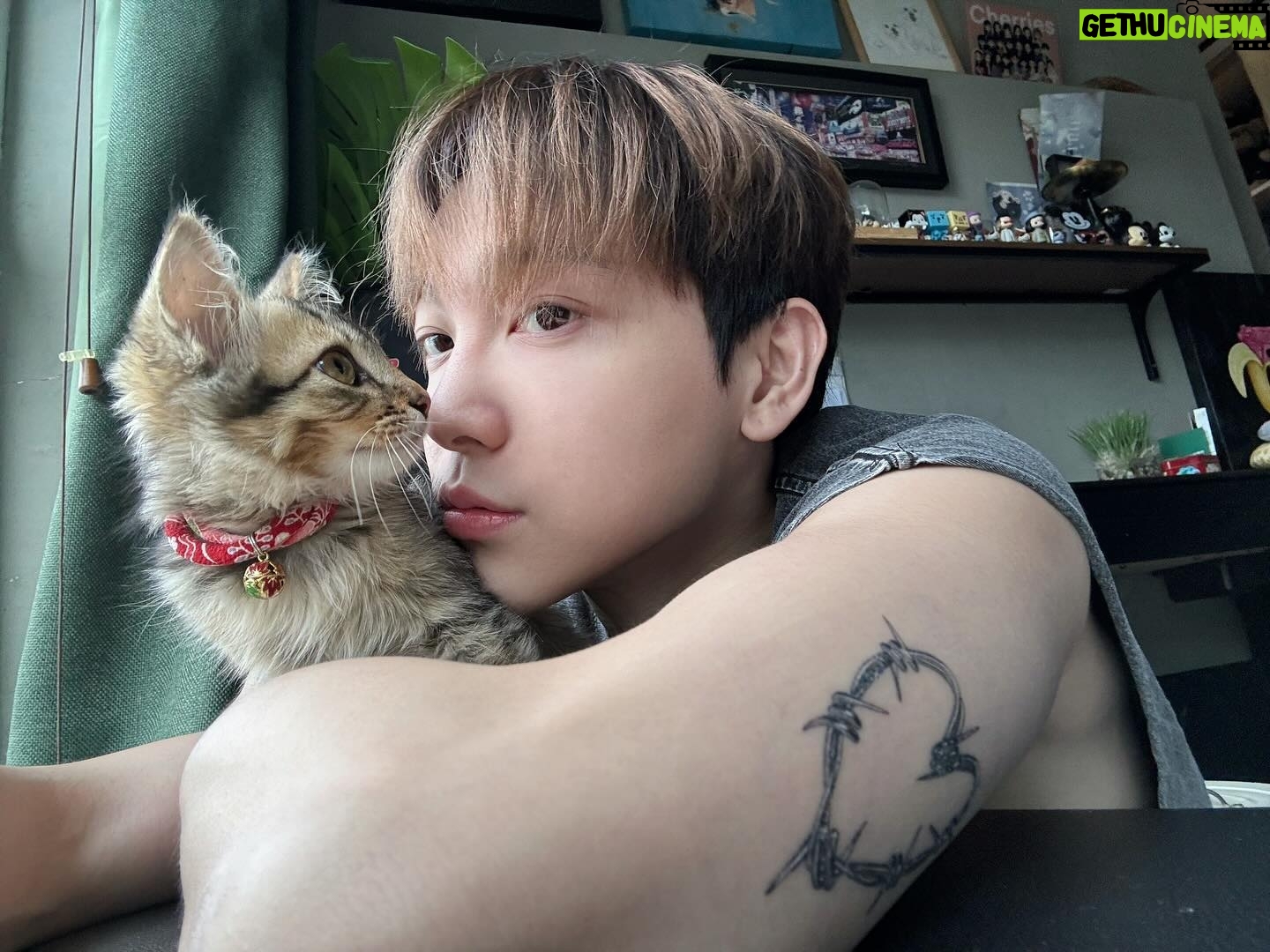 Alfred Sng - 6.7K Likes - Im officially a cat dad!! Found Rocket 3 weeks ago, alone, hiding in the drain along a quiet street (meowing at me for food).
After a few hours of observing, I decided to adopt this little baby and give him a new home. Last image was taken when I first saw him 🥺
Say Hi to Rocket! 🚀😍