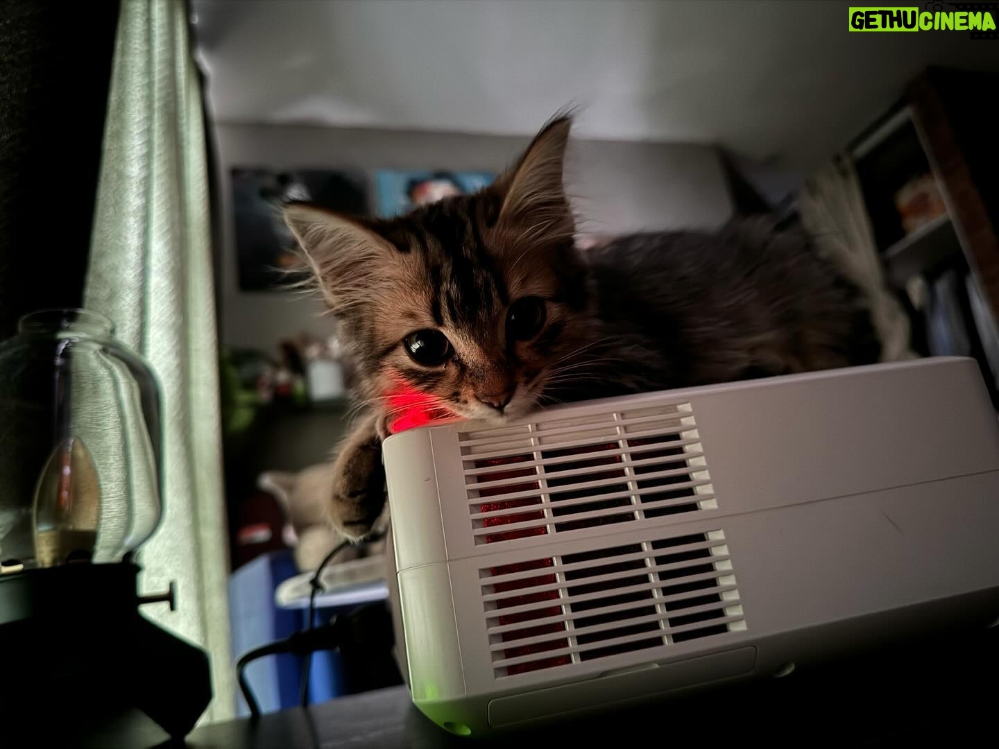 Alfred Sng - 6.7K Likes - Im officially a cat dad!! Found Rocket 3 weeks ago, alone, hiding in the drain along a quiet street (meowing at me for food).
After a few hours of observing, I decided to adopt this little baby and give him a new home. Last image was taken when I first saw him 🥺
Say Hi to Rocket! 🚀😍
