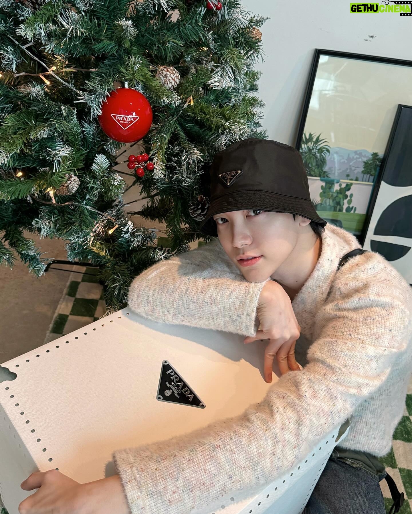 Alfred Sng - 2.6K Likes - Still riding the festive jolly wave! 😼 #PradaHoliday23 @prada