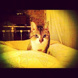 Alicia Goranson Instagram - 