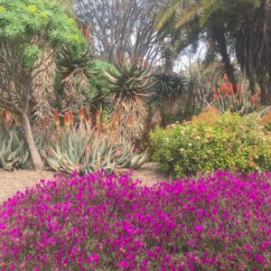 Alicia Goranson Instagram - The Huntington: Where Humans and Nature Agree
