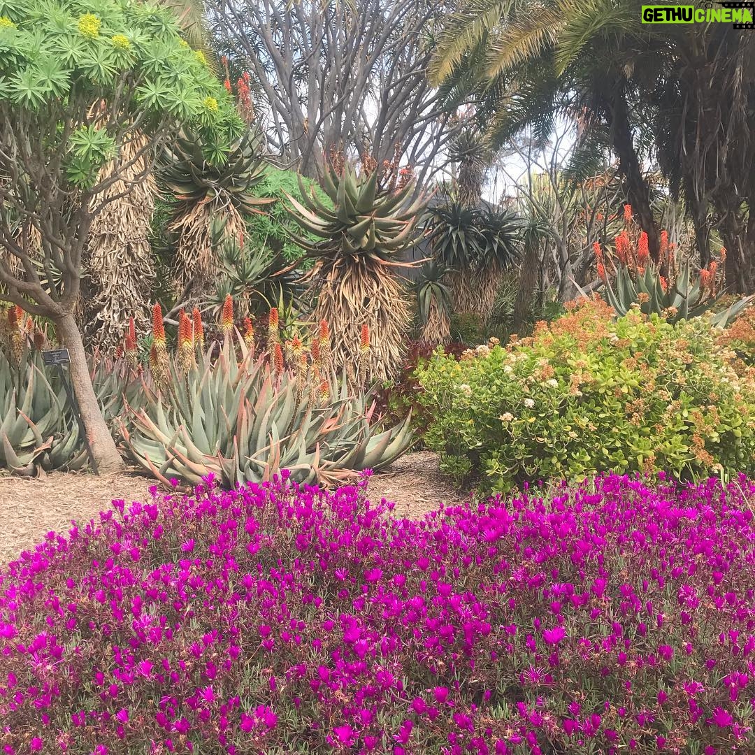 Alicia Goranson - 1.6K Likes - The Huntington: Where Humans and Nature Agree