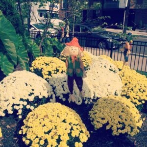 Alicia Goranson Instagram - When did Scarecrows become adorable?