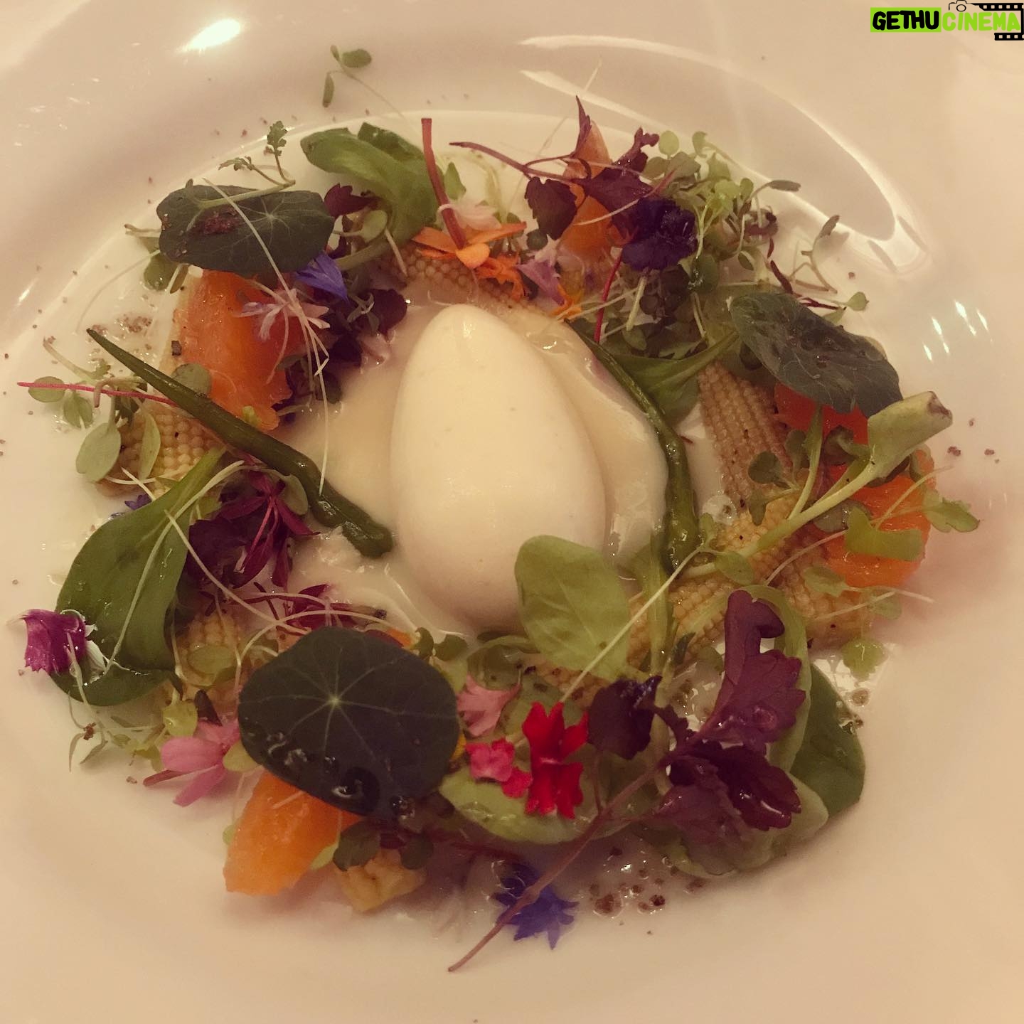 Alicia Goranson - 0.9K Likes - (Almost) Too beautiful to eat. #Lecy’sGoneRaw