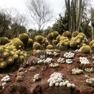 Alicia Goranson Instagram - The Huntington: Where Humans and Nature Agree