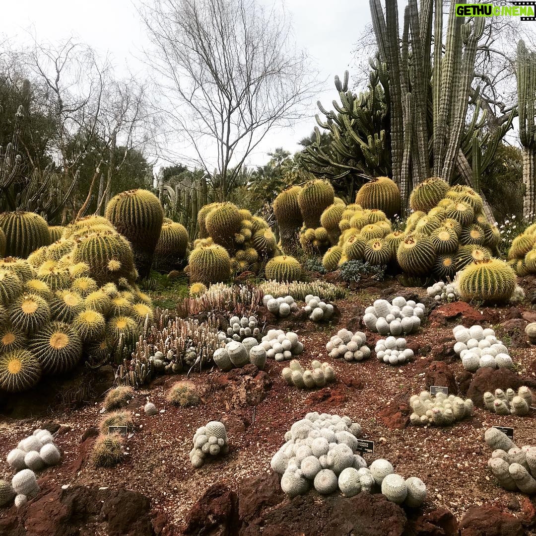 Alicia Goranson - 1.6K Likes - The Huntington: Where Humans and Nature Agree