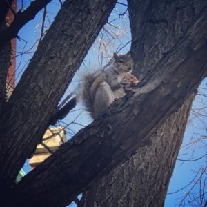 Alicia Goranson Instagram - My Bagel.