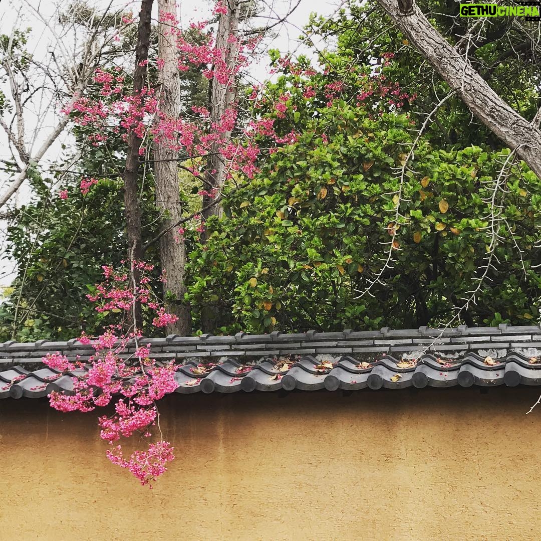 Alicia Goranson - 1.6K Likes - The Huntington: Where Humans and Nature Agree
