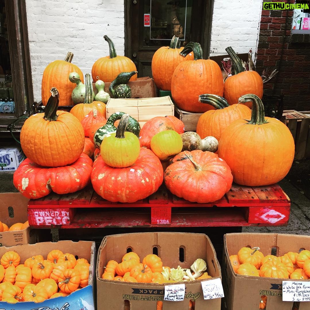 Alicia Goranson - 148 Likes - Pumpkins!