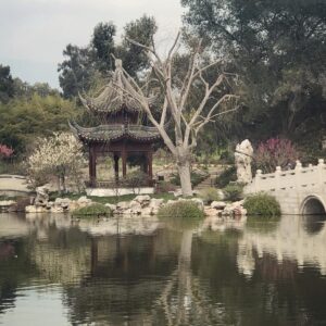 Alicia Goranson Instagram - The Huntington: Where Humans and Nature Agree