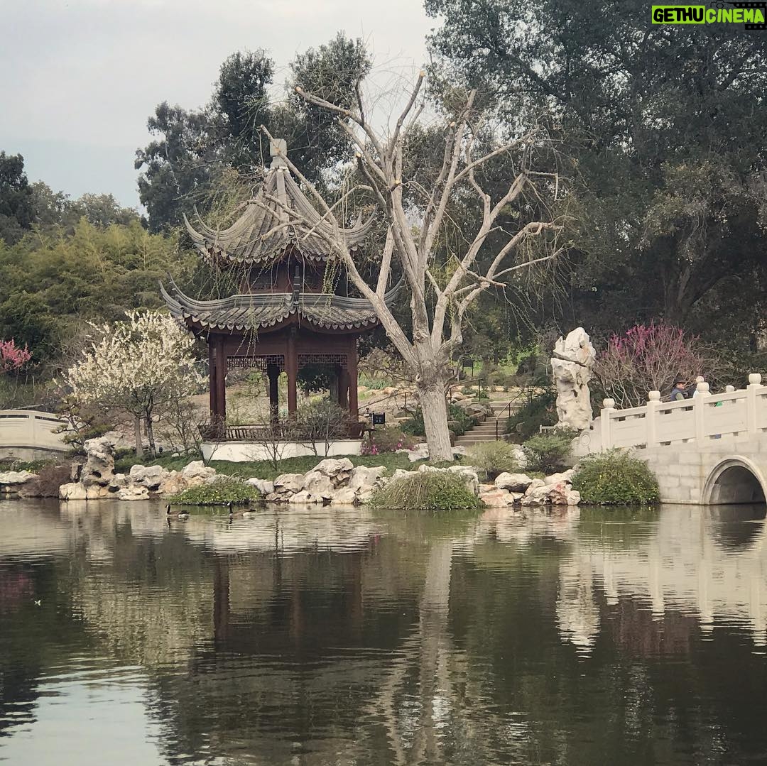 Alicia Goranson - 1.6K Likes - The Huntington: Where Humans and Nature Agree