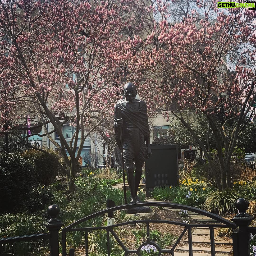Alicia Goranson - 729 Likes - Gandhi, walking into Spring.