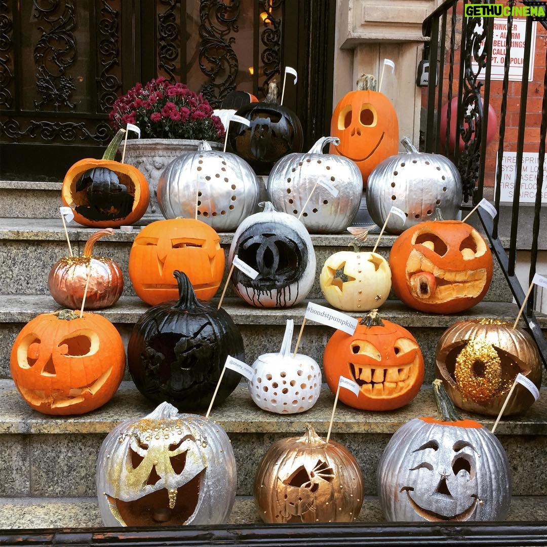 Alicia Goranson - 249 Likes - Bond St Jack O' Lanterns